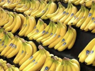 Banane : le Cameroun n’est pas le 1er producteur de la zone ACP