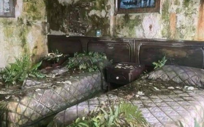 Cette chambre abandonnée et en proie à la végétation n’appartenait pas à Mobutu