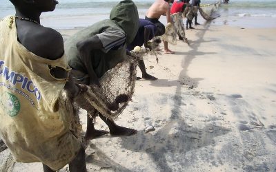 Présidentielle sénégalaise 2024 : non, il n’y a pas 600 000 Sénégalais qui vivent de la pêche