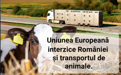 Non, l’UE n’interdit pas le transport d’animaux, mais veut améliorer les conditions dans lesquelles il s’effectue