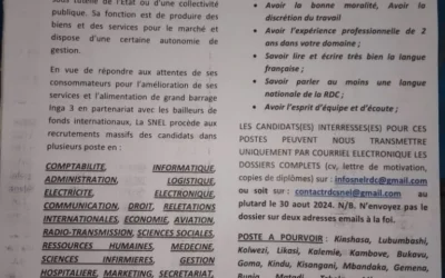 Non, l’offre d’emploi de la SNEL n’est pas authentique